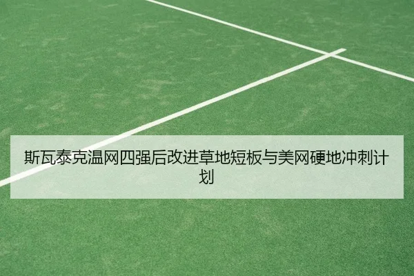 si-wa-tai-ke-wen-wang-si-qiang-hou-gai-jin-cao-di-duan-ban-yu-mei-wang-ying-di-chong-ci-ji-hua-2-577.jpg