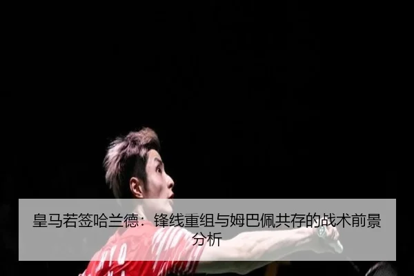 huang-ma-ruo-qian-ha-lan-de-feng-xian-chong-zu-yu-mu-ba-pei-gong-cun-de-zhan-shu-qian-jing-fen-xi-3-774.jpg