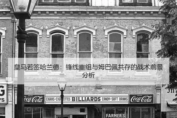 huang-ma-ruo-qian-ha-lan-de-feng-xian-chong-zu-yu-mu-ba-pei-gong-cun-de-zhan-shu-qian-jing-fen-xi-1-191.jpg